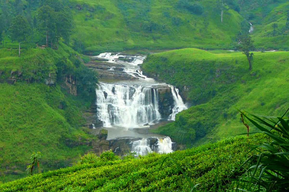 Wild life tour with hill country