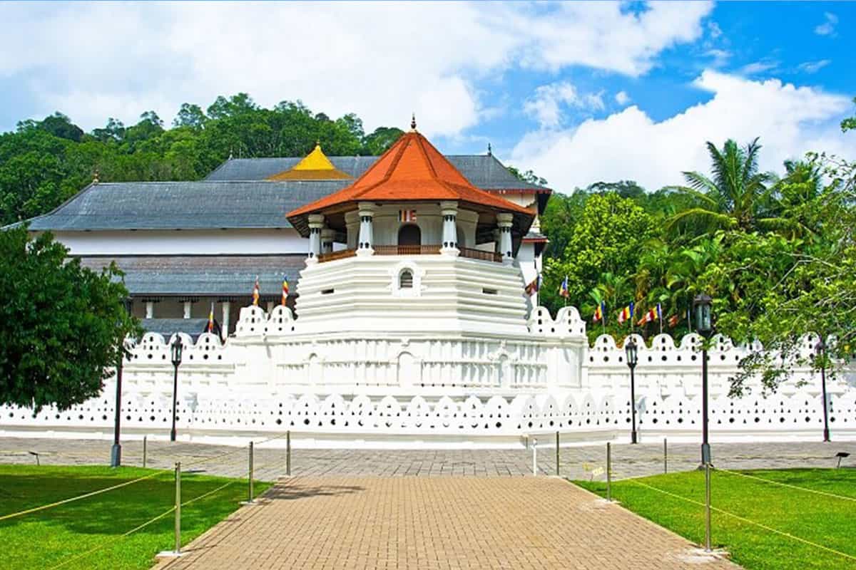 Wild life tour with hill country