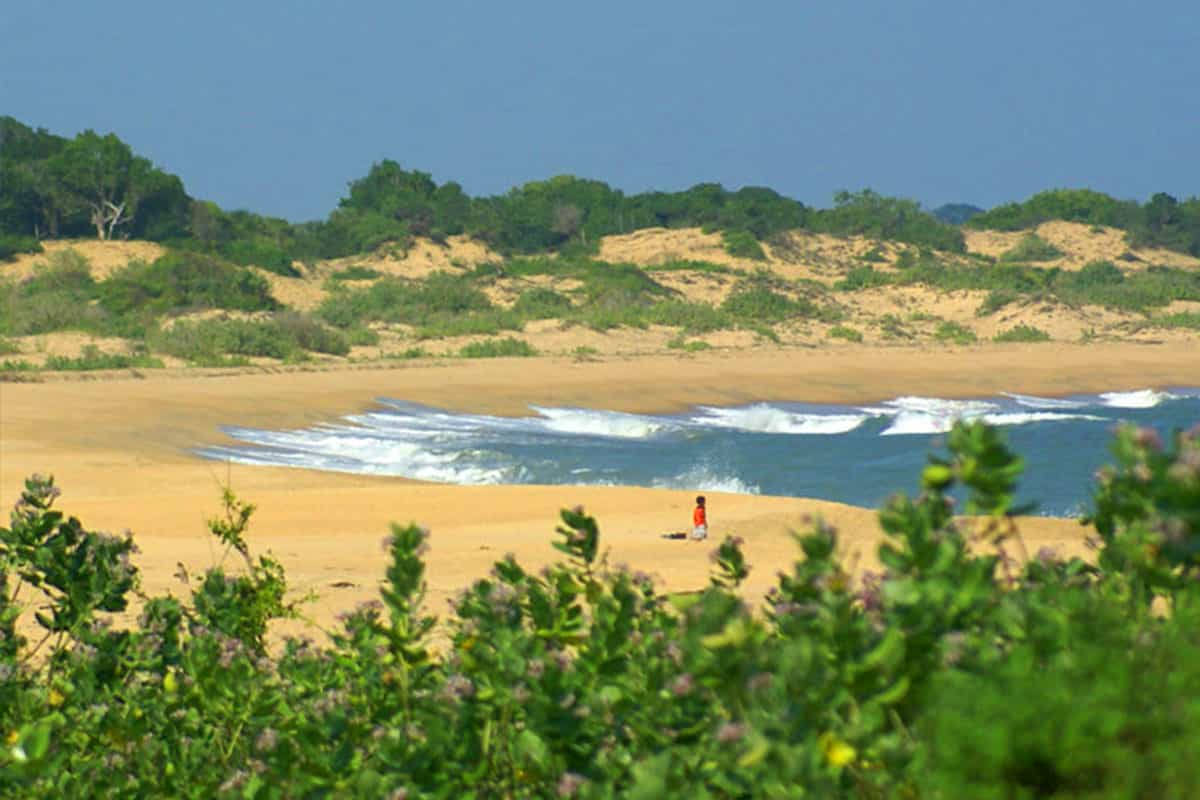 Wild life tour with hill country